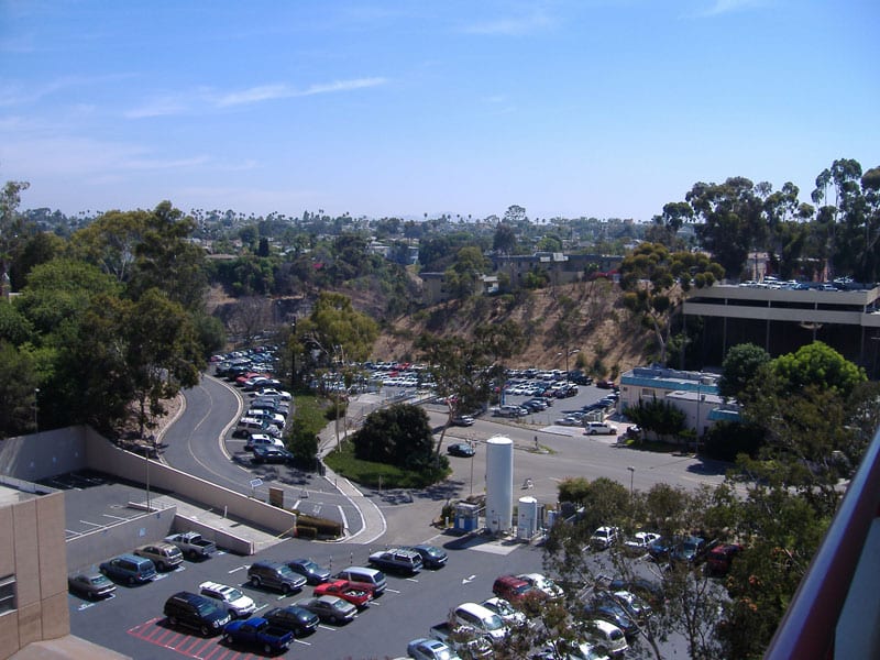 The View
